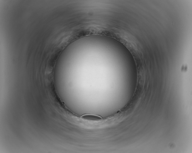 X0000096410034200802071704