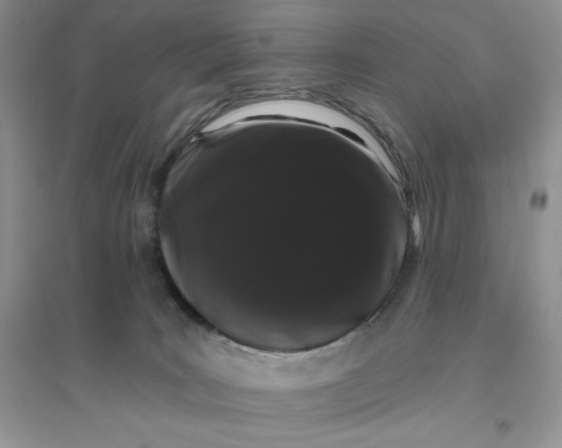 X0000096410035200802071704