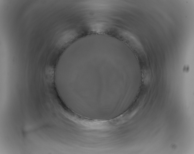 X0000096410036200802071704