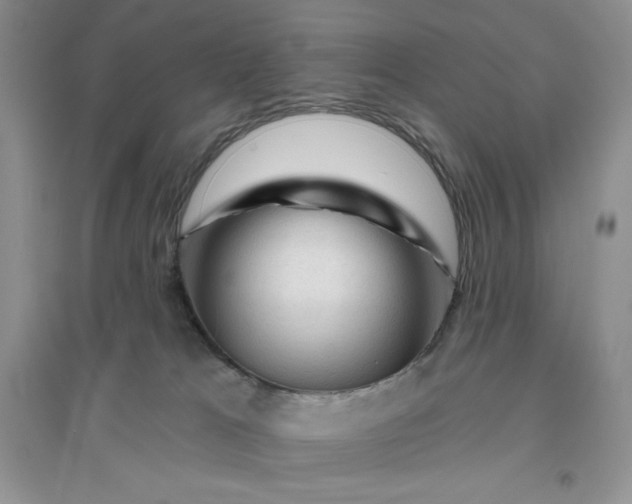 X0000096410037200802071704