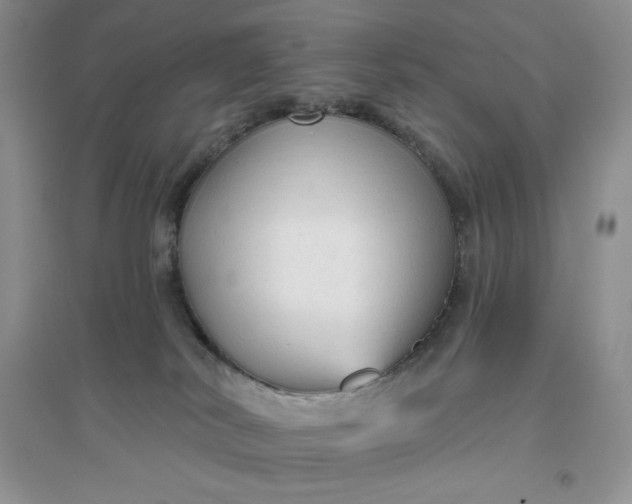 X0000096410038200802071704