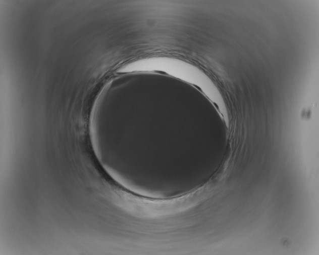 X0000096410039200802071704