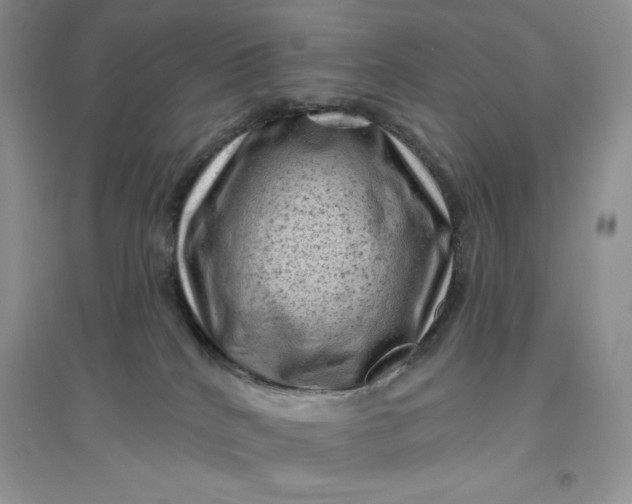 X0000096410040200802071704