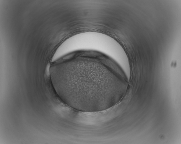 X0000096410041200802071704