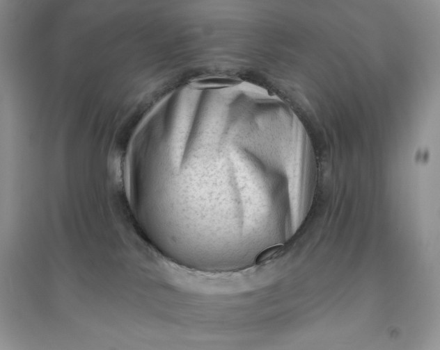 X0000096410042200802071704