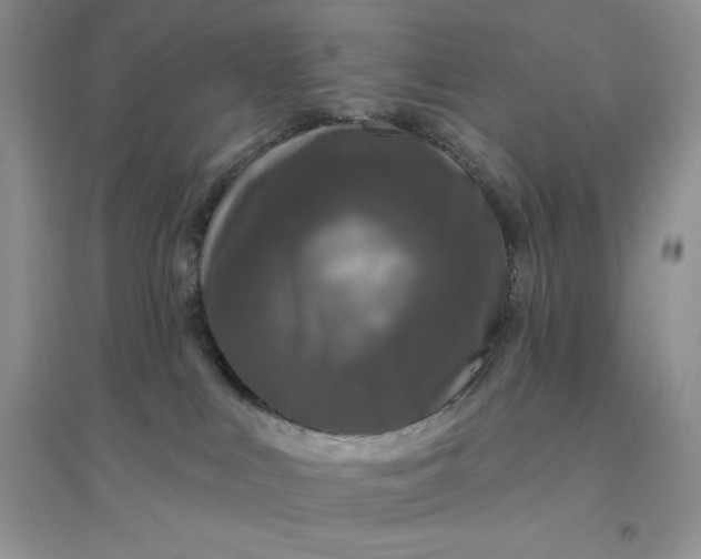 X0000096410043200802071704