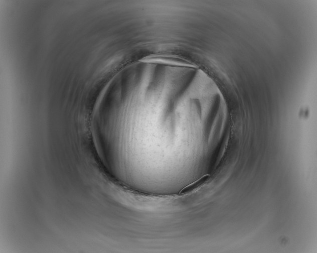 X0000096410044200802071704