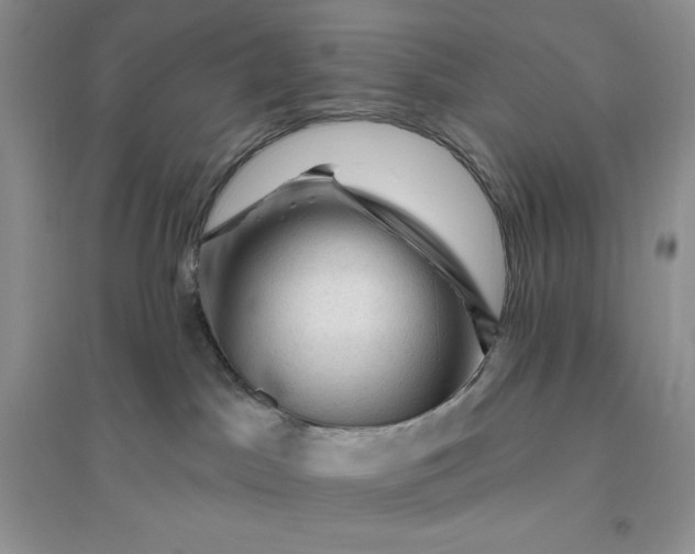 X0000096410045200802071704