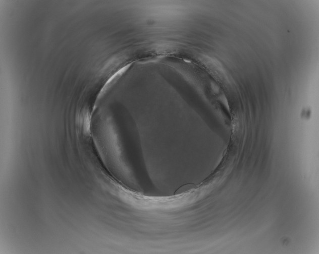 X0000096410046200802071704