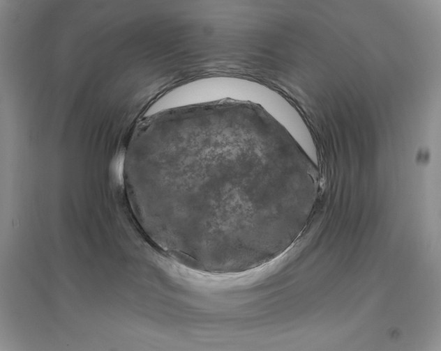 X0000096410047200802071704