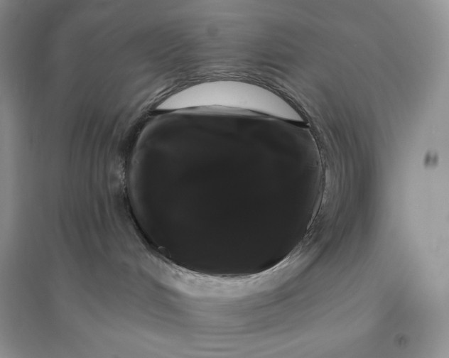 X0000096410048200802071704