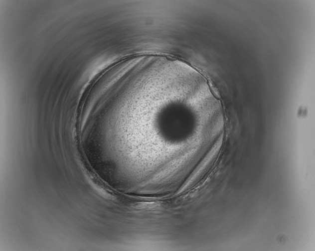 X0000096410050200802071703