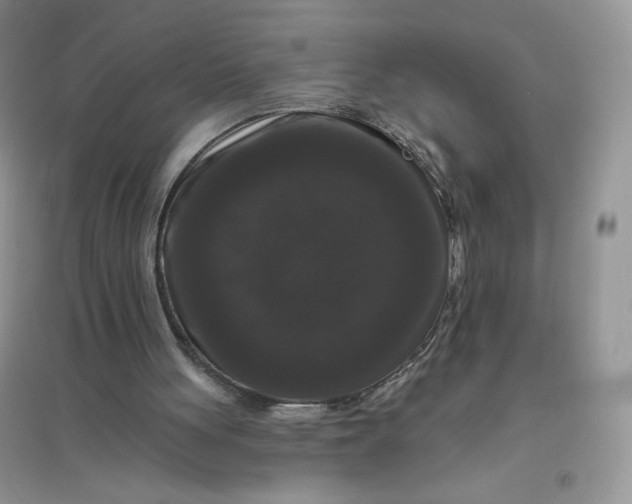 X0000096410051200802071703