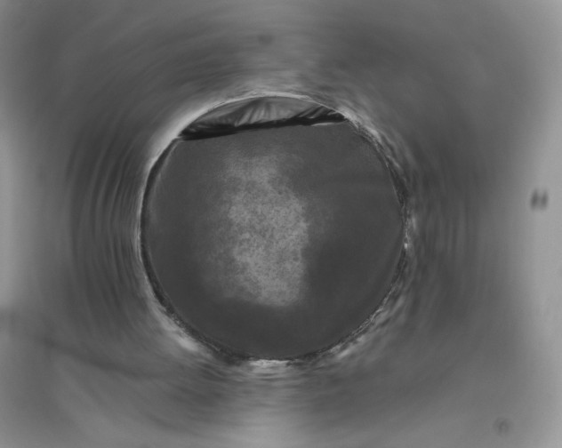 X0000096410052200802071703