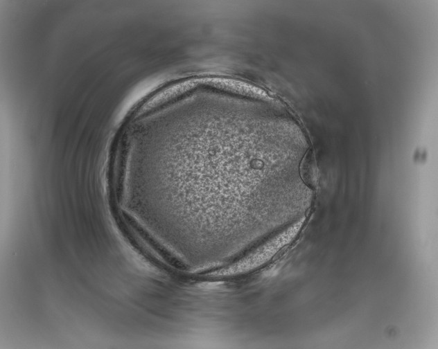 X0000096410054200802071703