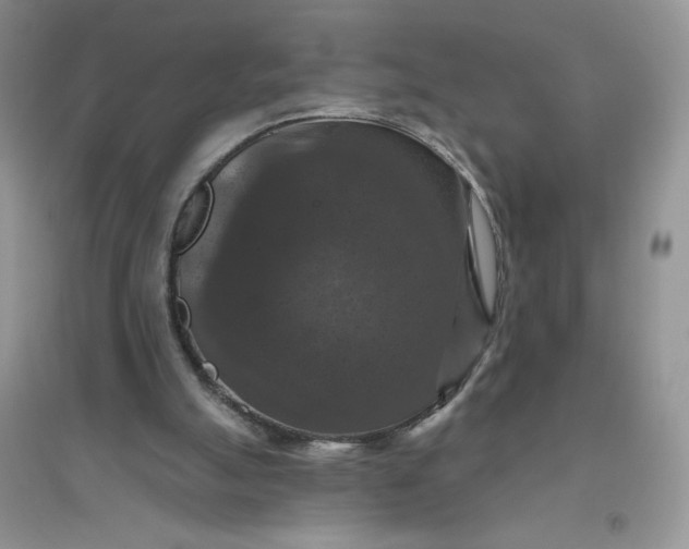 X0000096410055200802071703