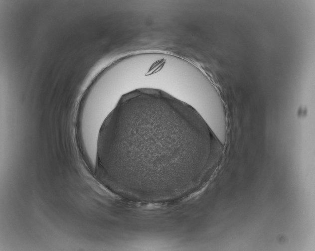 X0000096410056200802071703