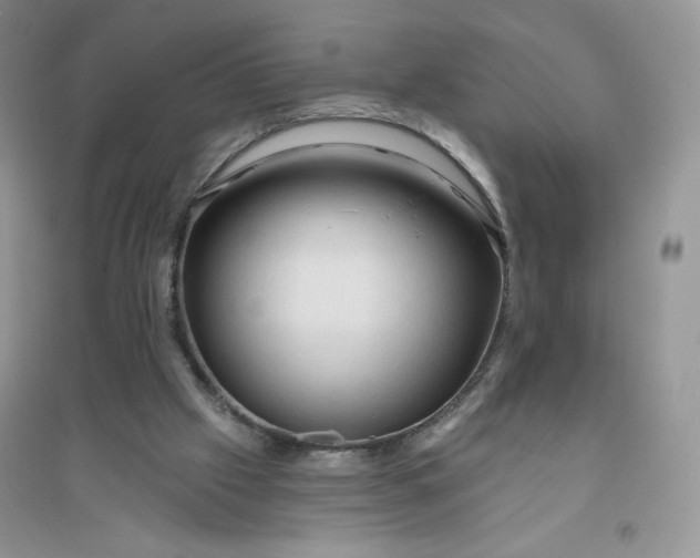 X0000096410057200802071703