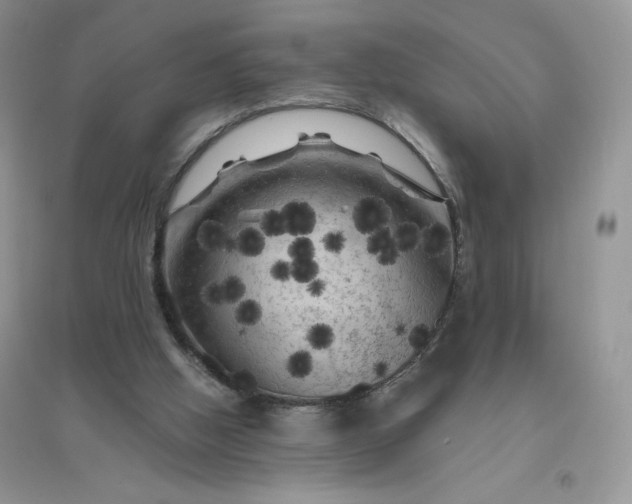 X0000096410058200802071703