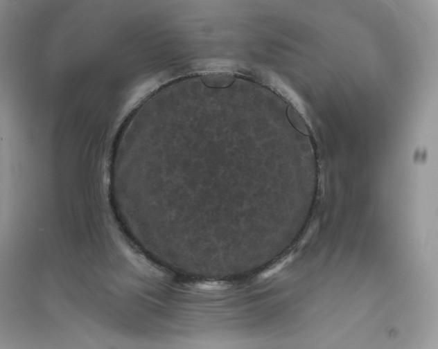 X0000096410059200802071703