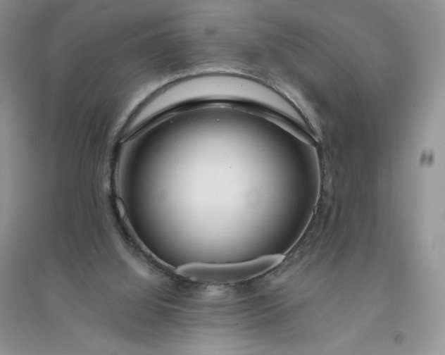 X0000096410060200802071703