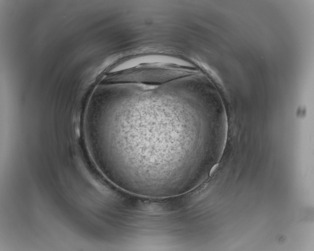 X0000096410062200802071703