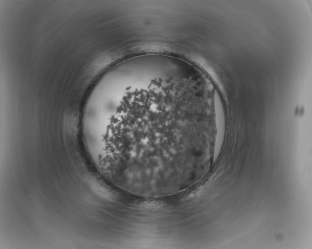 X0000096410063200802071703