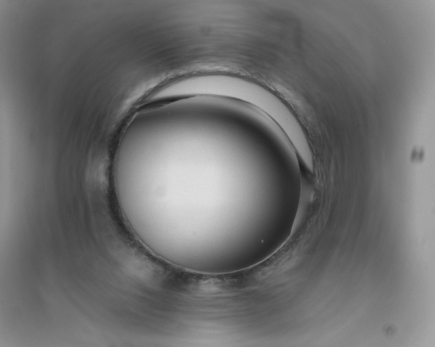 X0000096410064200802071703