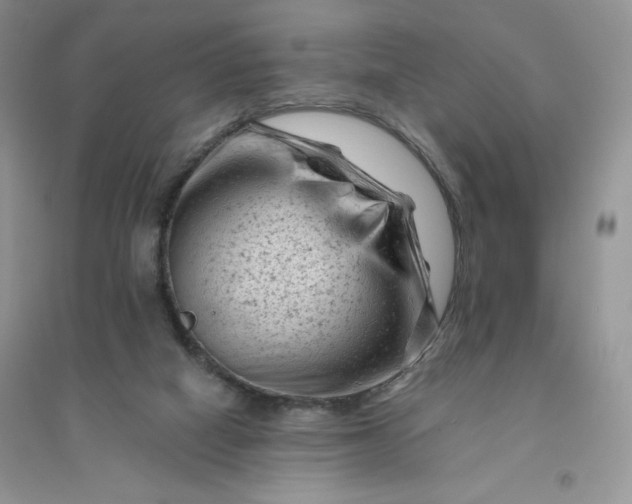 X0000096410066200802071703