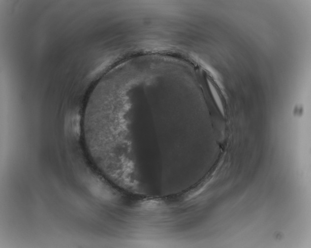 X0000096410067200802071703