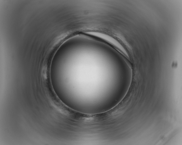 X0000096410068200802071703