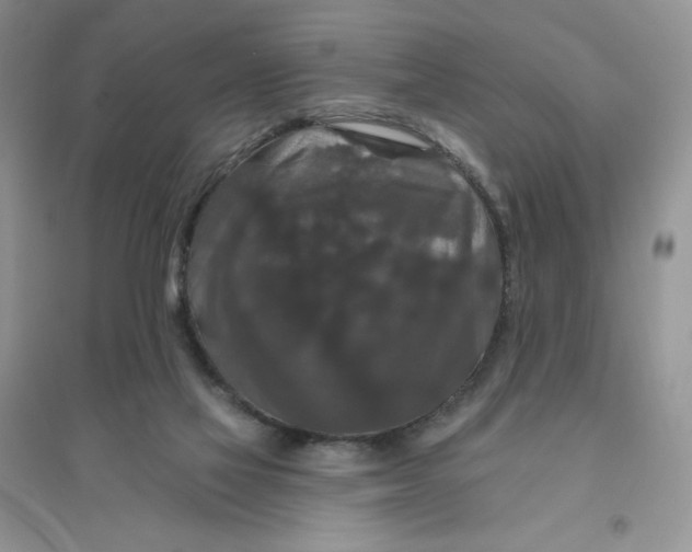 X0000096410069200802071703