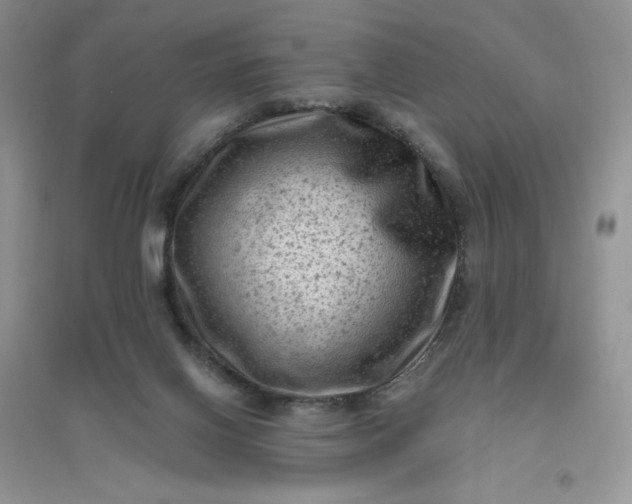 X0000096410070200802071703