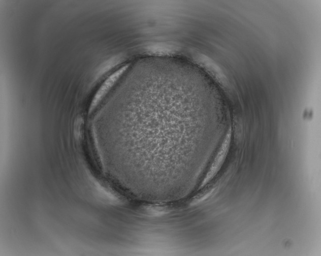 X0000096410071200802071703