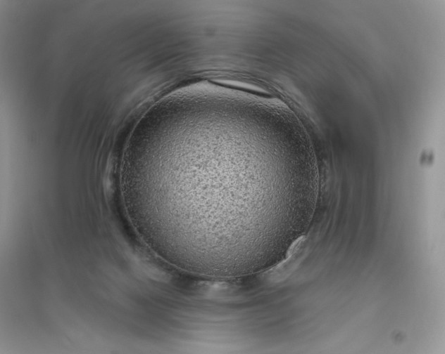 X0000096410074200802071703