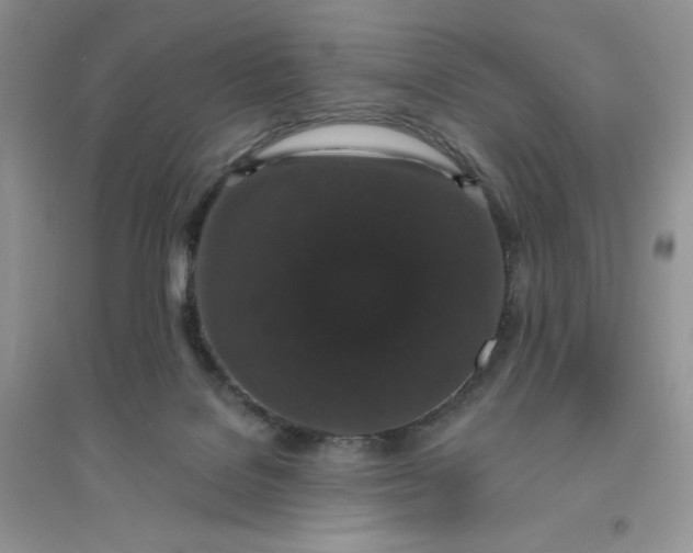 X0000096410076200802071703