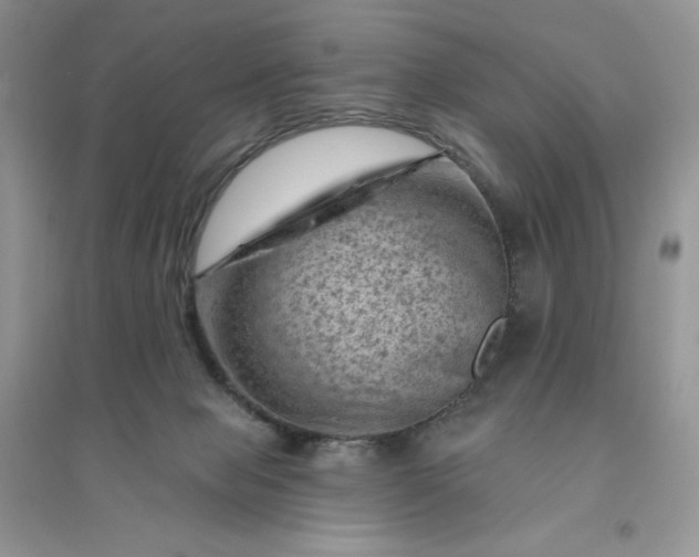 X0000096410077200802071703