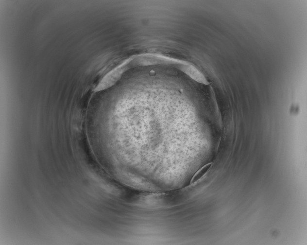 X0000096410078200802071703