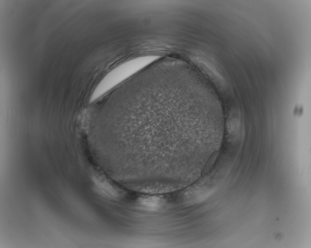 X0000096410079200802071703