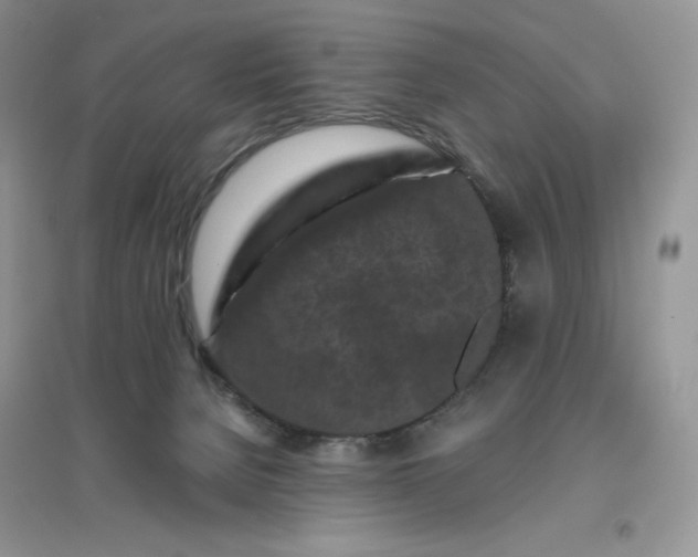 X0000096410080200802071704