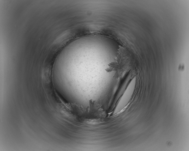 X0000096410082200802071704