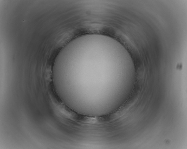 X0000096410083200802071704