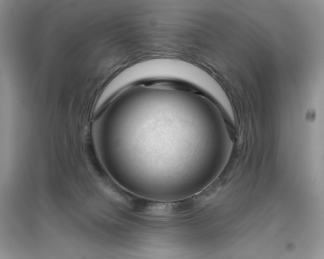 X0000096410084200802071704