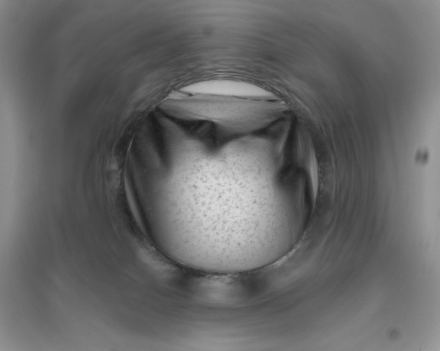 X0000096410086200802071704