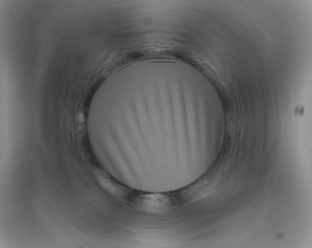 X0000096410087200802071704