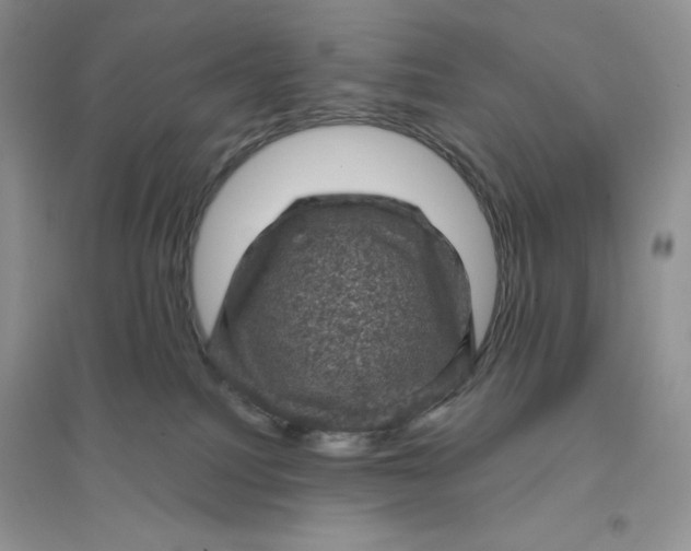 X0000096410088200802071704