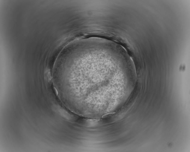 X0000096410089200802071704