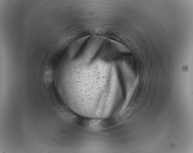 X0000096410090200802071704