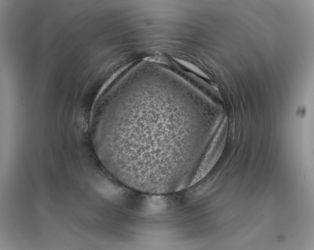 X0000096410091200802071704