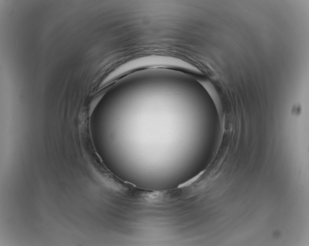 X0000096410092200802071704